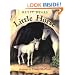 Little Horse