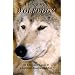 Own a Wolfdog