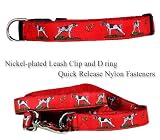 German Shorthaired Pointer Red Collar Le