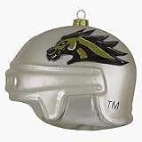 Western Michigan Broncos 3