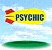 Air In Balloons - PSYCHIC - Advertising Helium Blimp Balloon for Advertising - 20 Foot Long