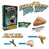 Shark Teeth Digging Kit - Excavate 3 Reak Shark Teeth Specimensby Discover with Dr. Cool