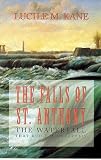 Falls of St Anthony: The Waterfall that Built Minneapolis