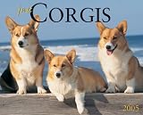 Just Corgis 2005 Calendar image