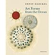Art Forms from the Ocean: The Radiolarian Prints of Ernst Haeckel