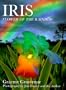 Iris: Flower Of The Rainbow