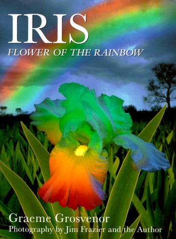 Rainbow The