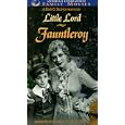 Little Lord Fauntleroy