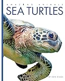Amazing Animals: Sea Turtles
