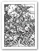 Four Horsemen of the Apocalypse by Albrecht Durer 25.125"x18" Art Print Poster