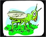 Decorated Mouse Pad with green, insect, wings, grasshopper, antennae