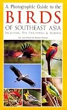 A Photographic Guide to the Birds of Southeast Asia: Including the Philippines & Borneo