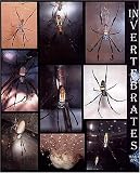 Invertebrates Magazine