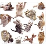 Cat Group Mouse Pad