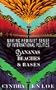 Bananas, Beaches and Bases: Making Feminist Sense of International Politics