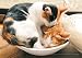 108ピース ねこ鍋 ねこ鍋心地 108-334