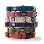 Planet Dog Cozy Hemp Adjustable Collar, Blue, Medium (12-19")