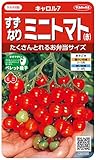 サカタのタネ 実咲野菜0101 すずなりミニトマト(赤) キャロル7 00920101
