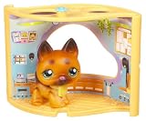 Hasbro 667941480 Littlest Petshop
