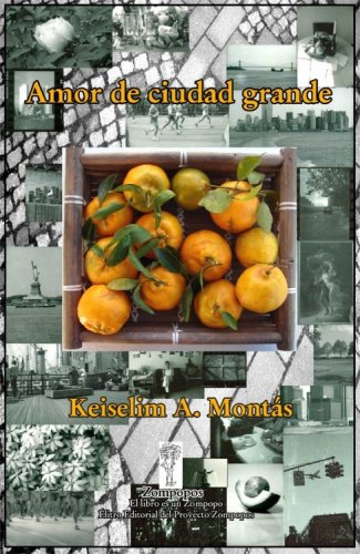 Amor de ciudad grande (Spanish Edition)