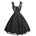 Buenos Ninos Women's Sleeveless Fit and Flare V-neck Lace Evening Gown Dress