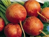 Golden Detroit Beet - 50 Seeds