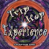 Revue Various Artists  / Trip Hop Experience: Chapter One