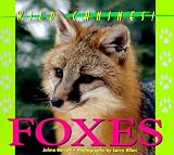 Wild Canines of North America - Foxes