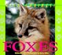 Wild Canines of North America - Foxes
