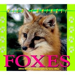 Wild Canines of North America - Foxes