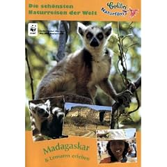 Madagaskar & Lemuren erleben