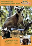 Madagaskar & Lemuren erleben