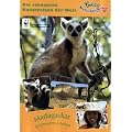 Madagaskar & Lemuren erleben