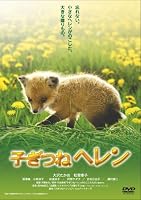 子ぎつねヘレン