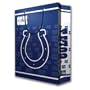 NFL Indianapolis Colts Gift Bag, Large