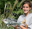 Taxidermy 14" Fiberglass Sea Bass Fish Wall Mount