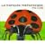 The Grouchy Ladybug (Spanish Edition): La Mariquita Malhumorada