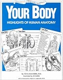 Your Body: Highlights of Human Anatomy