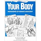 Your Body: Highlights of Human Anatomy by  Tova Navarra and Ed Gabel