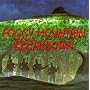 Foggy Mountain Breakdown: 16 Bluegrass Instrumental Hits