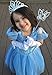 Cinderella Crystal Princess Party Costume Dress with Accessories