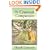 The Constant Companion 3 Ed