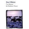 Les bisons de Broken Heart