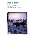Les bisons de Broken Heart
