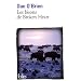 Les bisons de Broken Heart