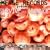 Survive and Advance, Vol. 2: A Merge Records Compilation