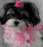 14 Ribbon Dog Collars, 1 Pink Lace and 1 Fuchsia Dog with 4 Hair Clips
