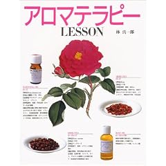 �A���}�e���s�[LESSON