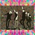 The Wilde Flowers