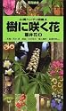 樹に咲く花―離弁花〈2〉 (山渓ハンディ図鑑)